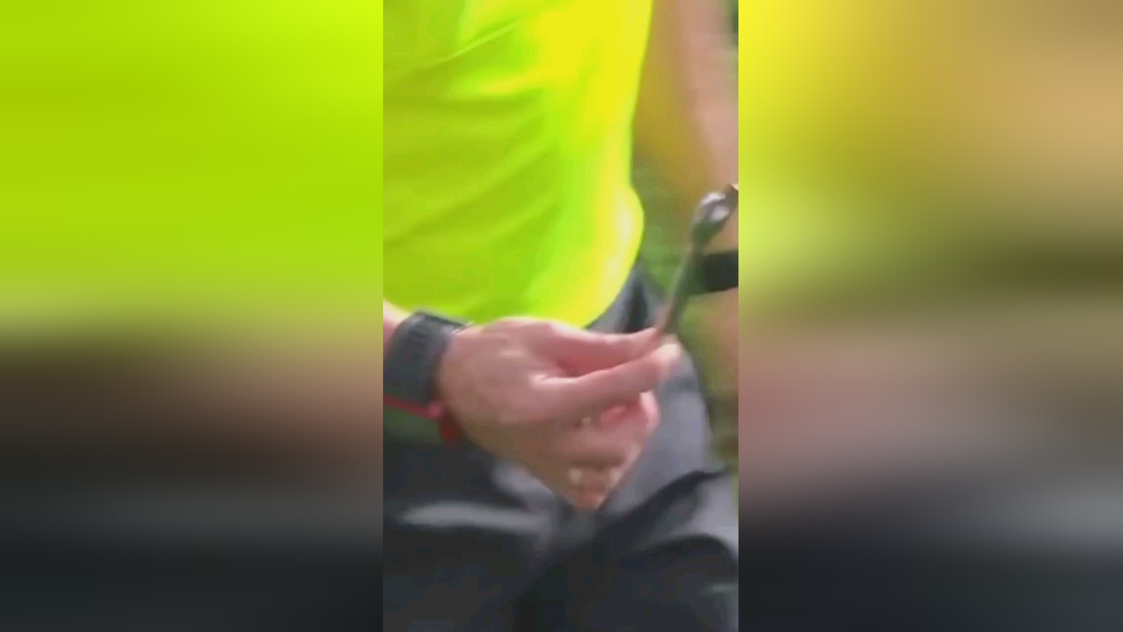 的表